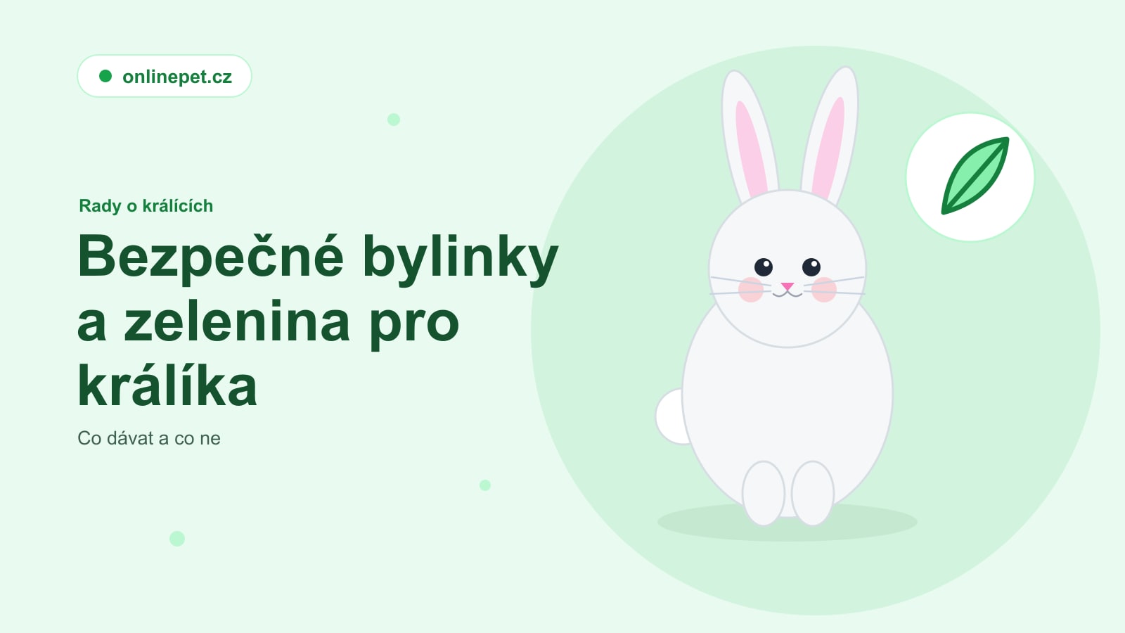 Bezpečné bylinky a zelenina pro králíka: co dávat a co ne