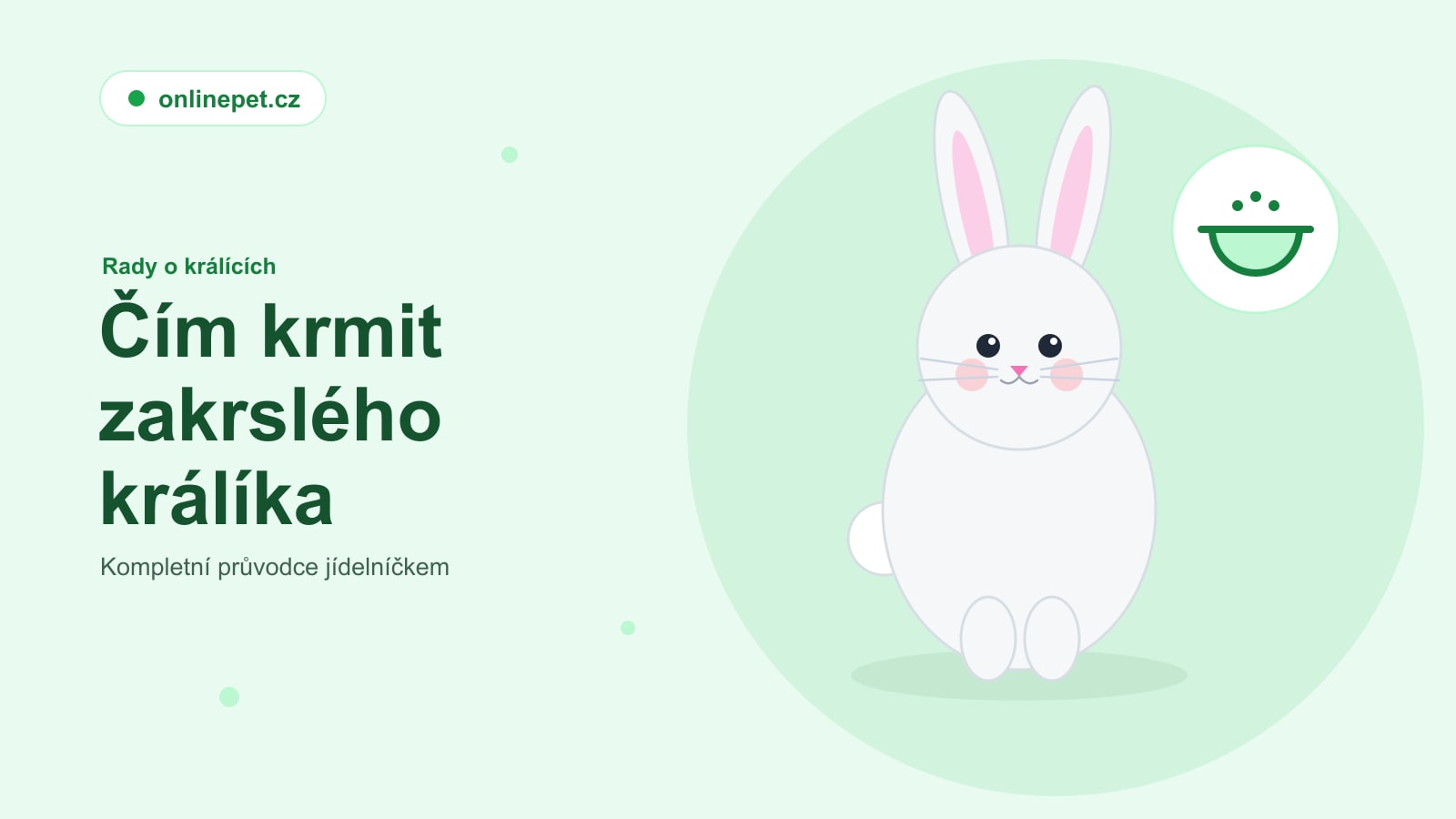 Čím krmit zakrslého králíka: kompletní průvodce jídelníčkem
