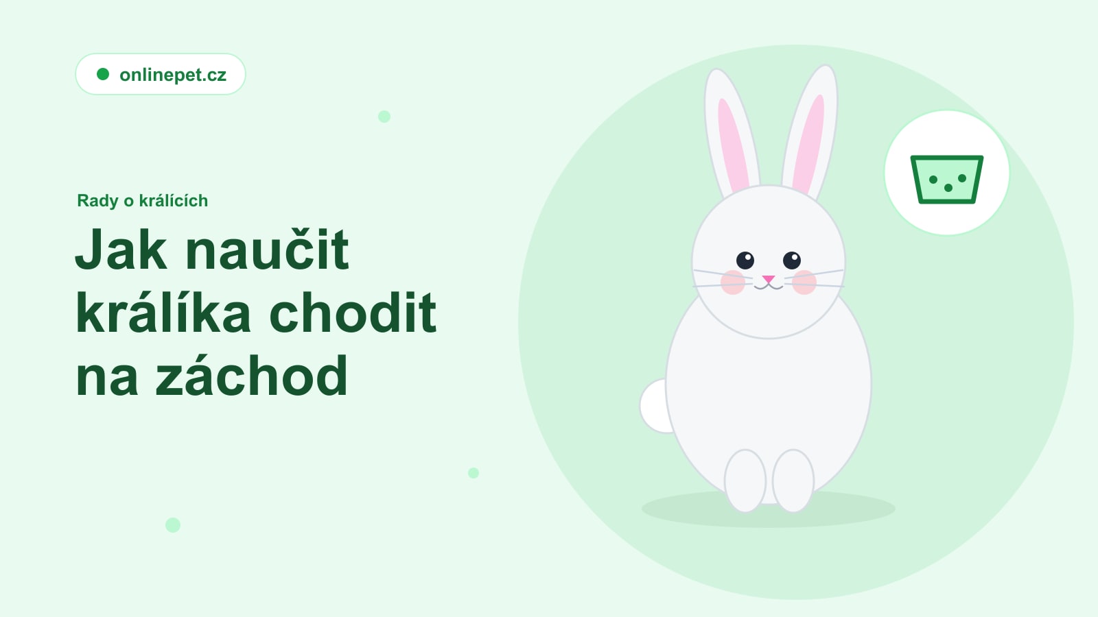 Jak naučit králíka chodit na záchod