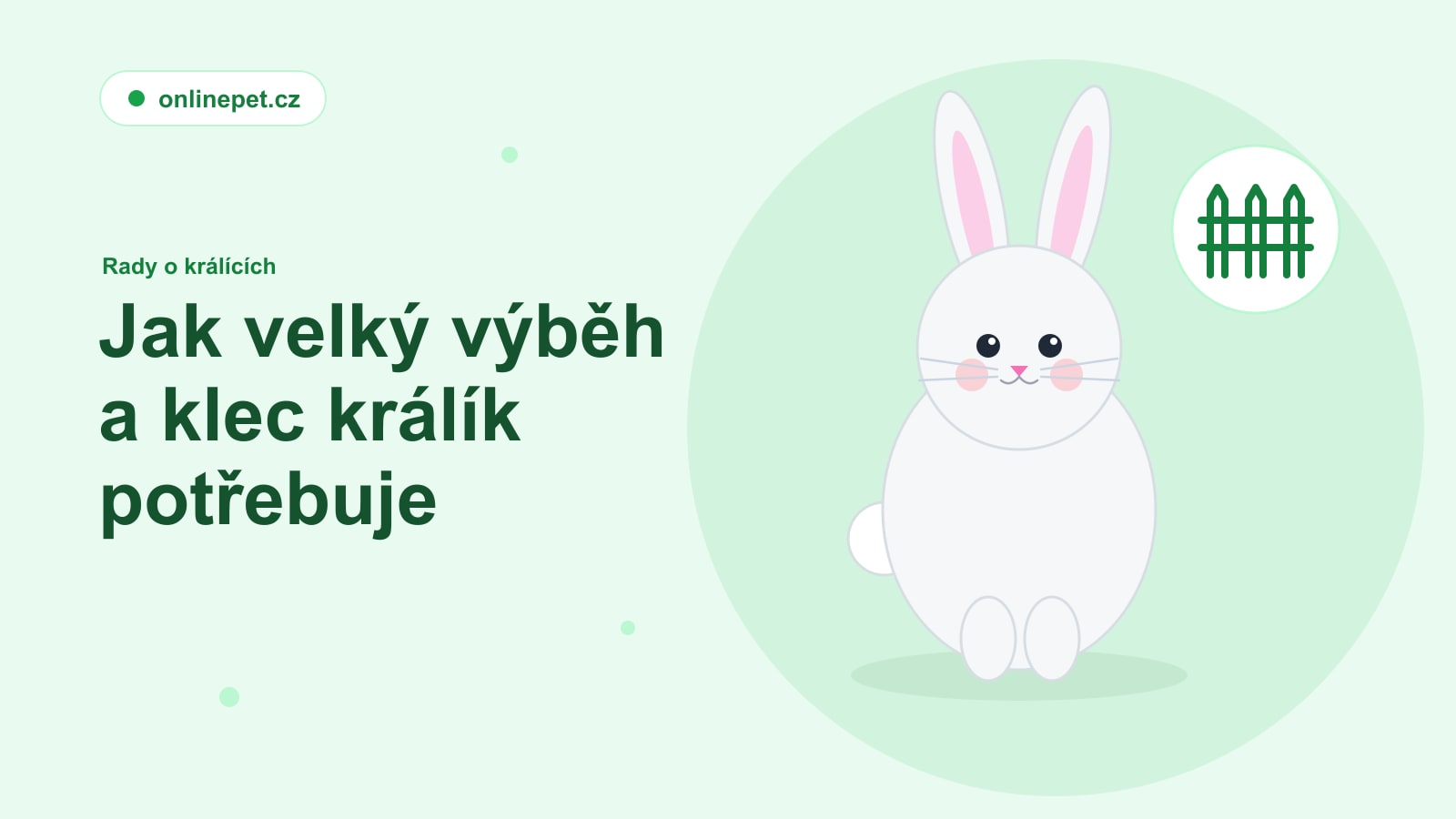 Jak velký výběh a klec králík potřebuje
