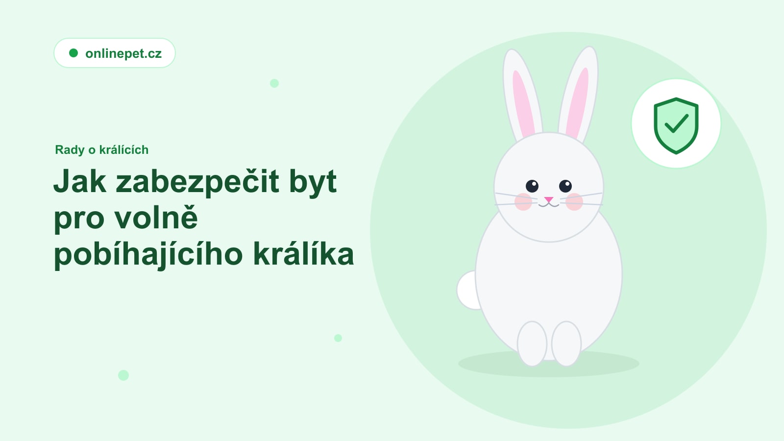 Jak zabezpečit byt pro volně pobíhajícího králíka