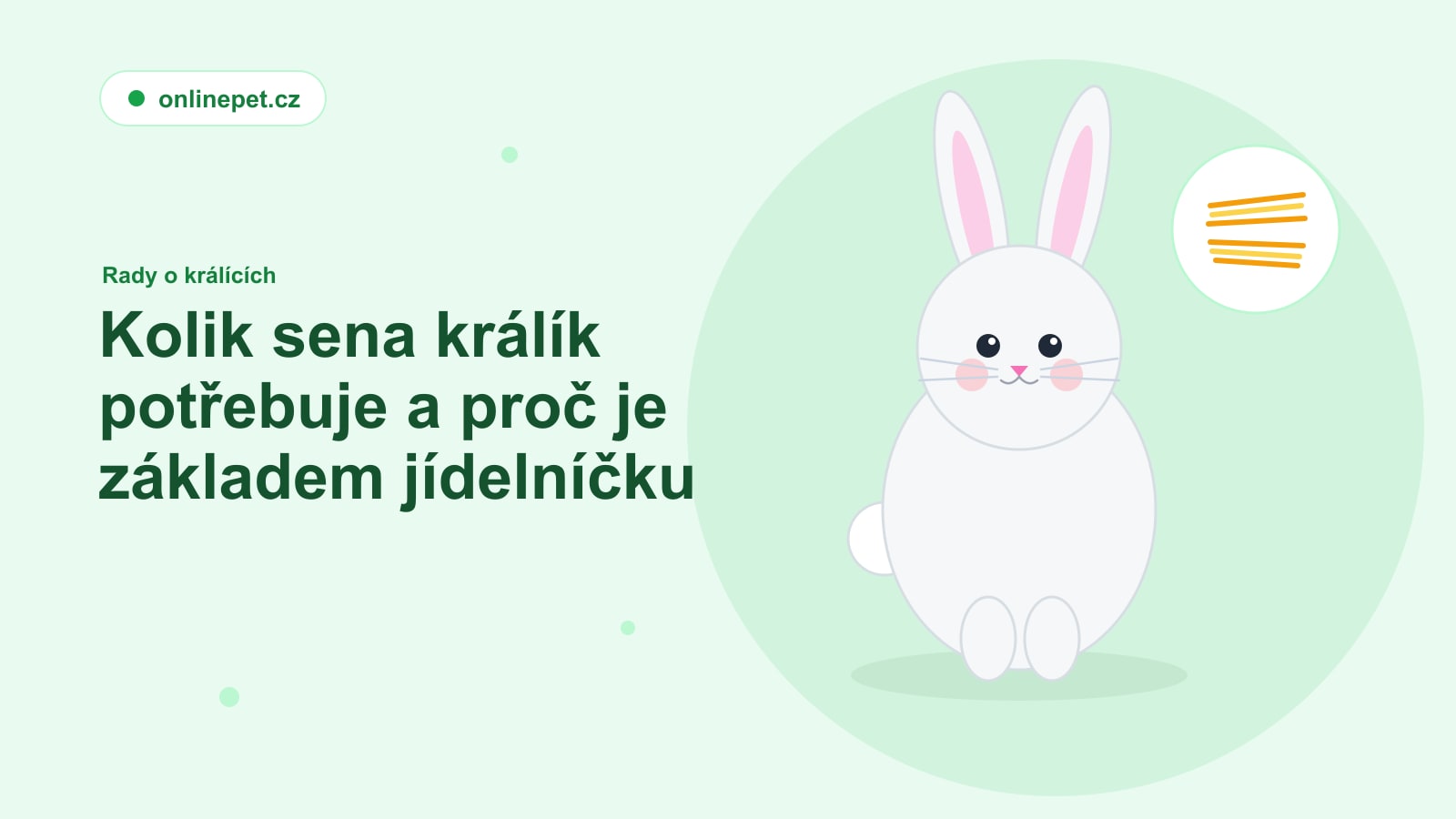 Kolik sena králík potřebuje a proč je základem jídelníčku