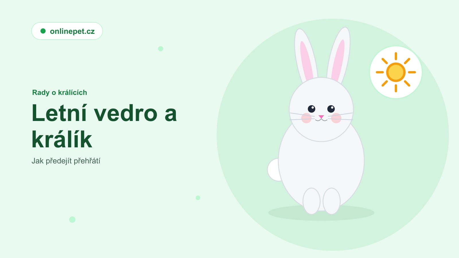 Letní vedro a králík: jak předejít přehřátí