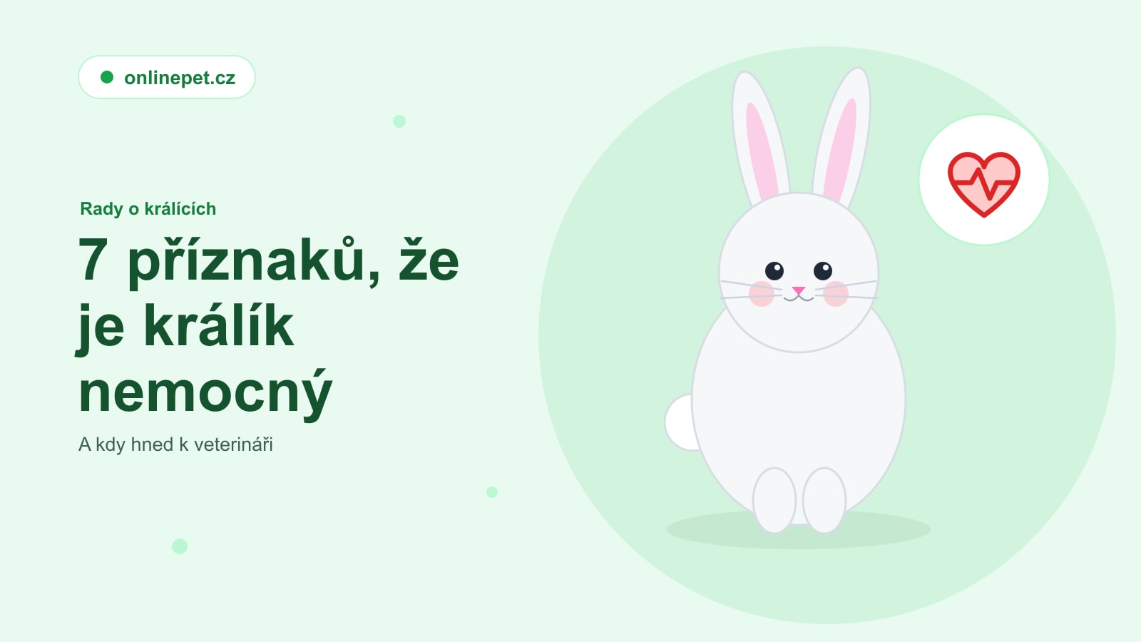 7 příznaků, že je králík nemocný (a kdy hned k veterináři)