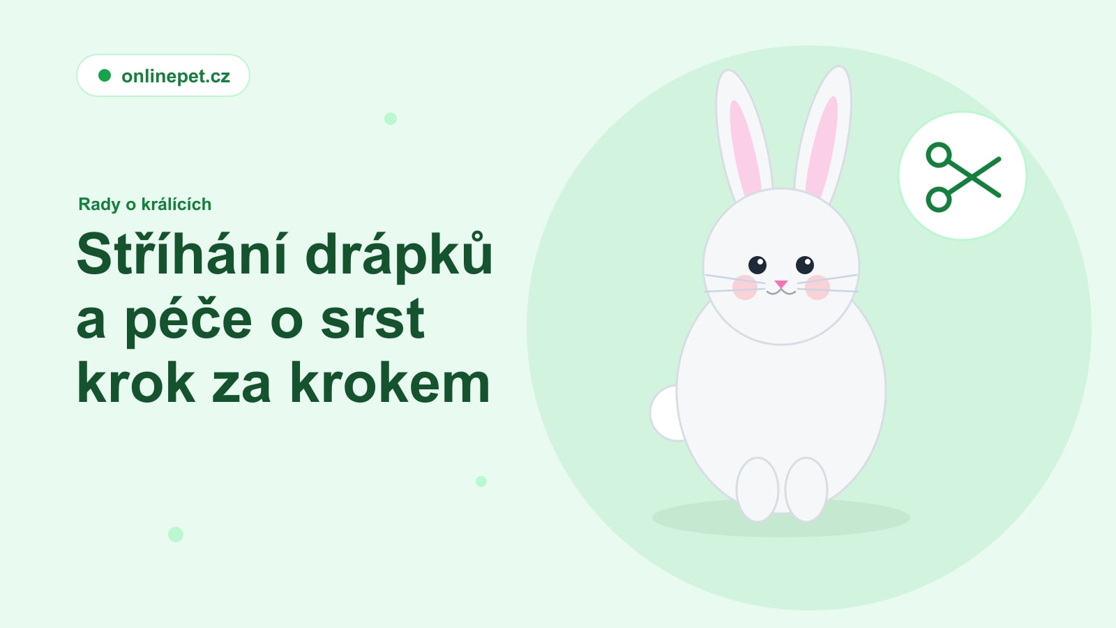 Stříhání drápků a péče o srst krok za krokem