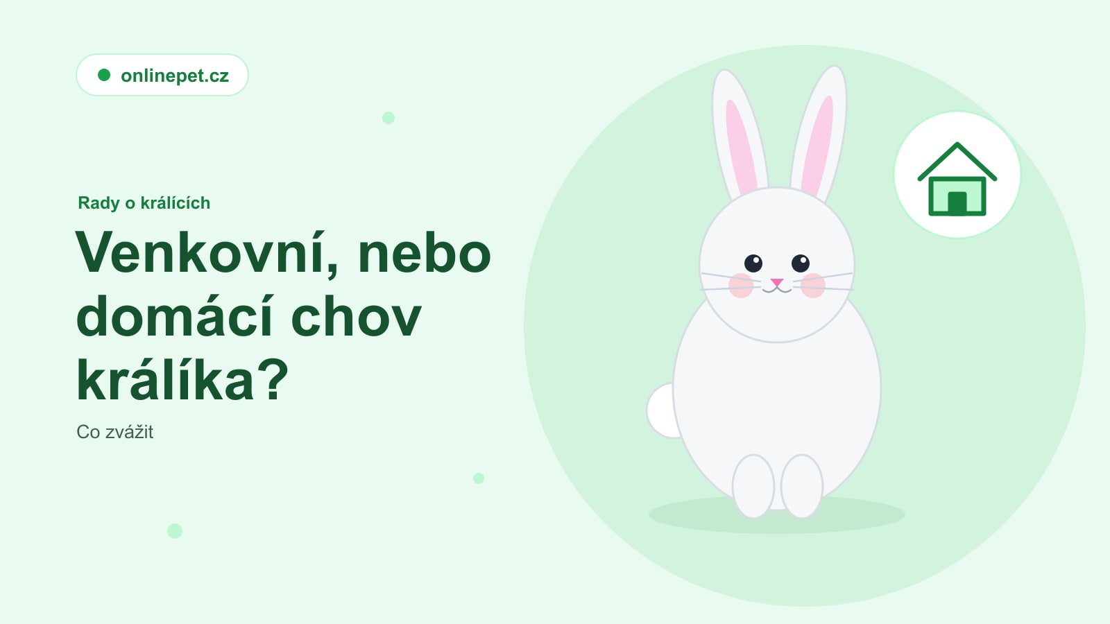 Venkovní, nebo domácí chov králíka? Co zvážit