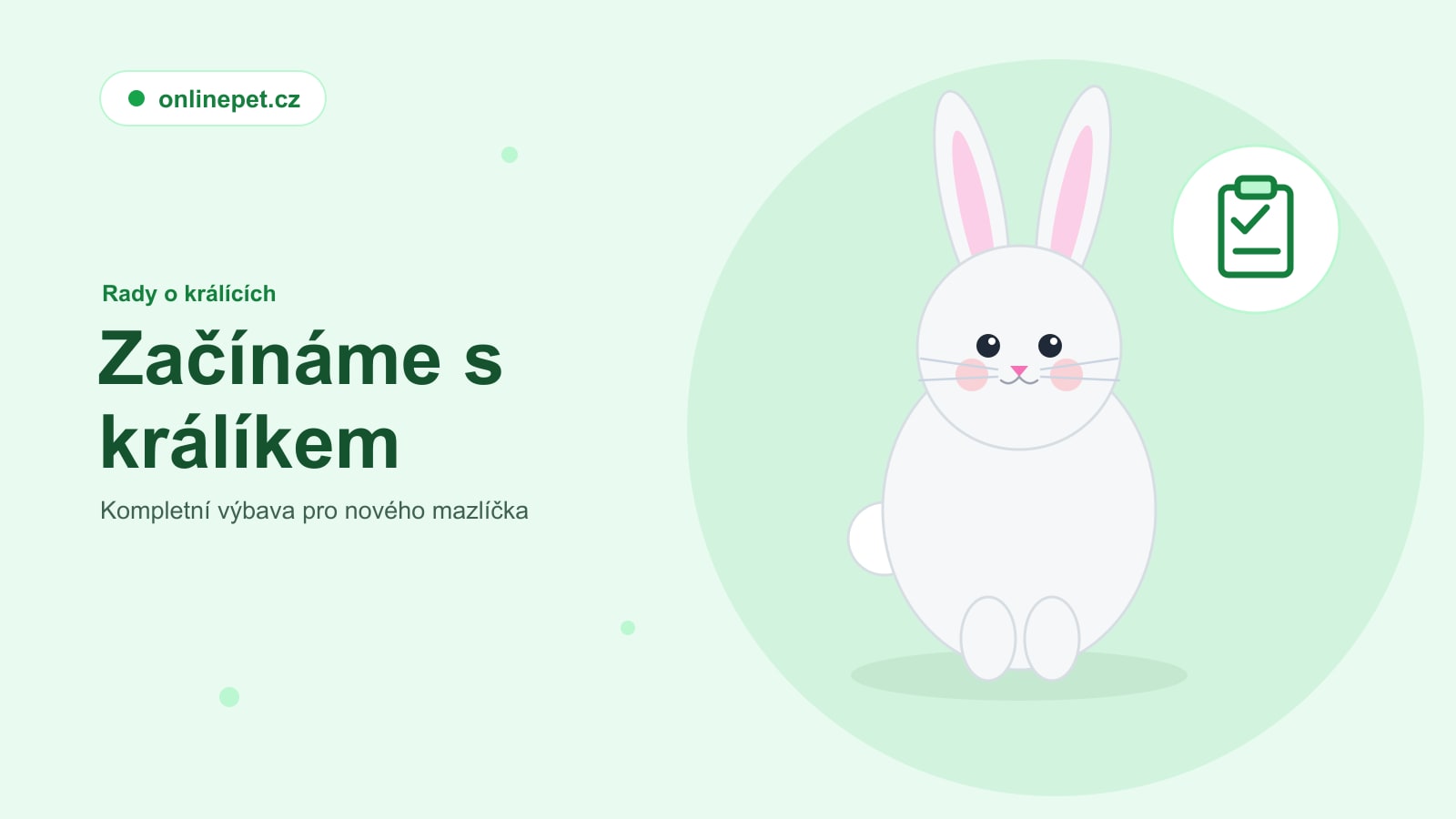 Začínáme s králíkem: kompletní výbava pro nového mazlíčka